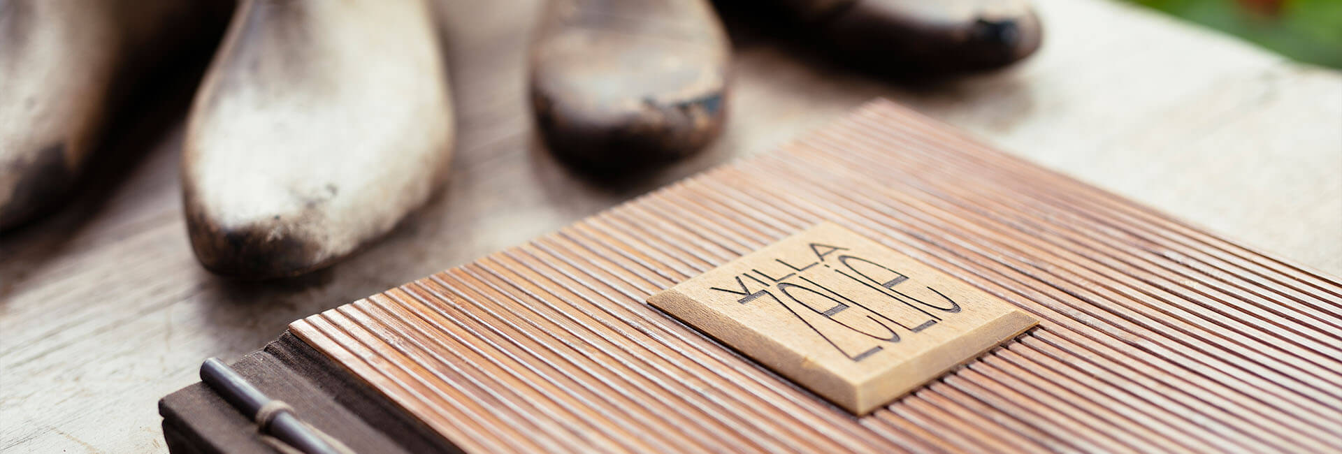 Villa Zelie - Villa book